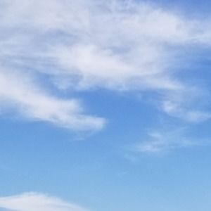 Meet your Posher, Gisele